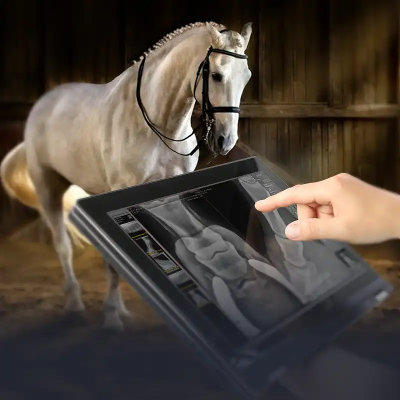 Using digital imaging for equine medicine