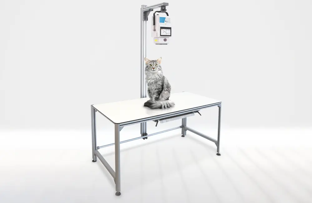 A cat sitting on the reduced digital X-ray system Amadeo V pico