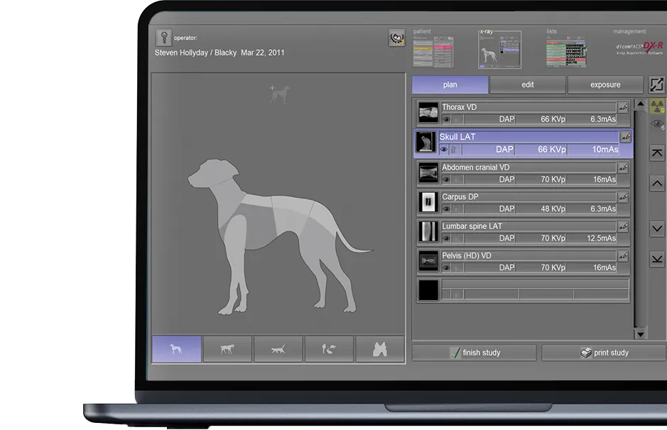 dicomPACS®DX-R - screenshot with a worklist of animal exposures