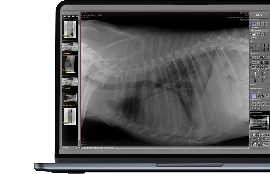 dicomPACS®DX-R acquisition and report software for veterinarians on a laptop