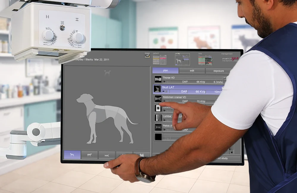 A vet is checking a list of X-ray shoots for a dog