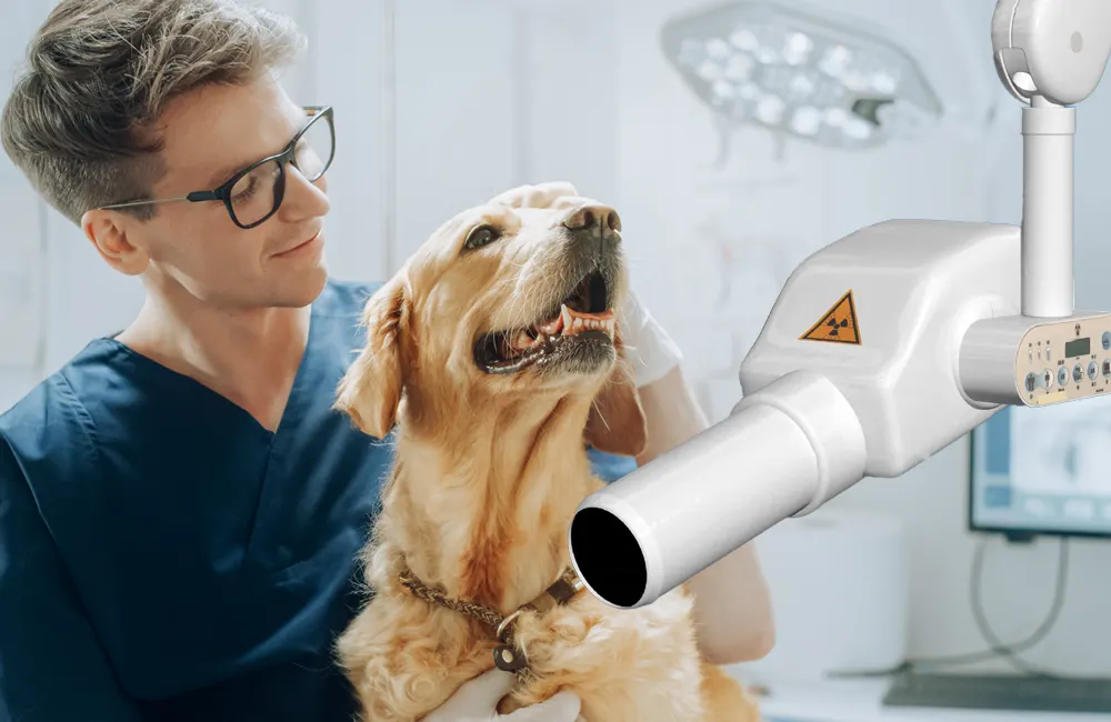 Veterinary professional comforting dog next to dental X-ray machine