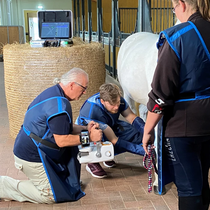 A equine veterinarian and his team X-ray a hores in a stable