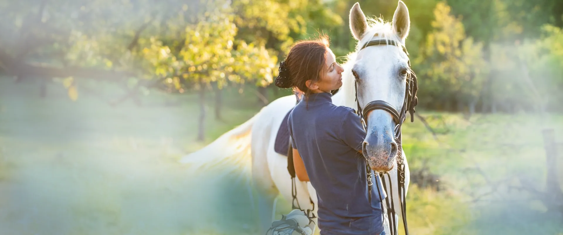 Equine veterinary setting with horse and handler outside