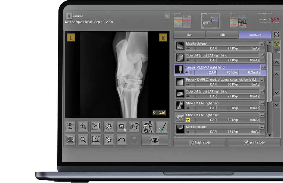 Screenshot of the veterinary software dicomPACS dxr