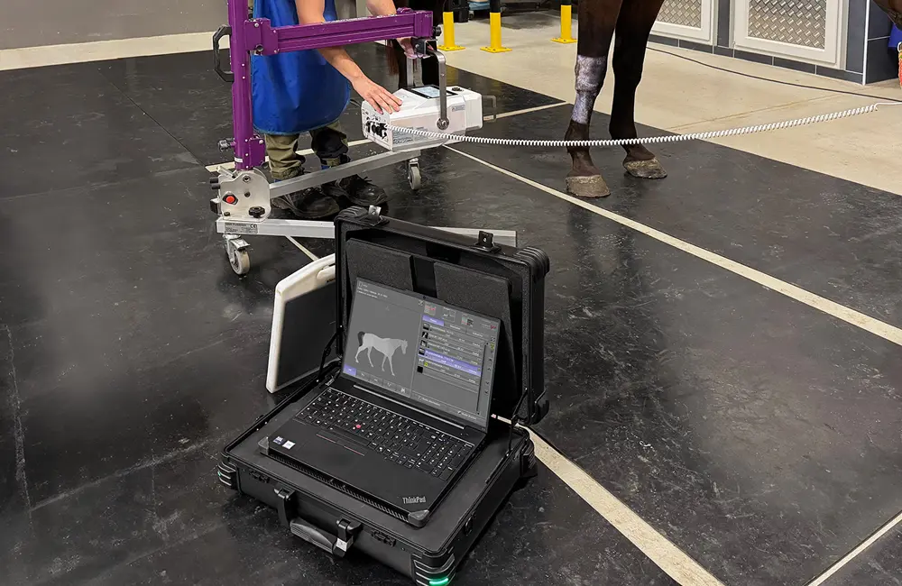 A veterinarian X-ray a horse ankle joint with a portable DR System