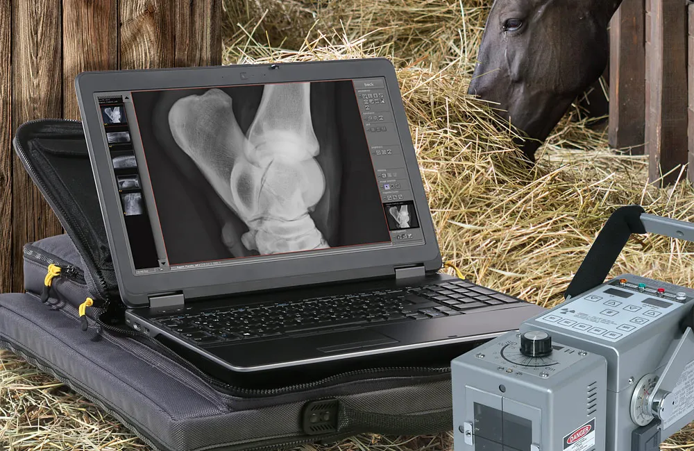 Leonardo DR nano in a stable for X-raying horses
