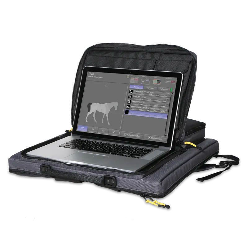 Leonadro DR nano X-ray system with a equine examination on its screen