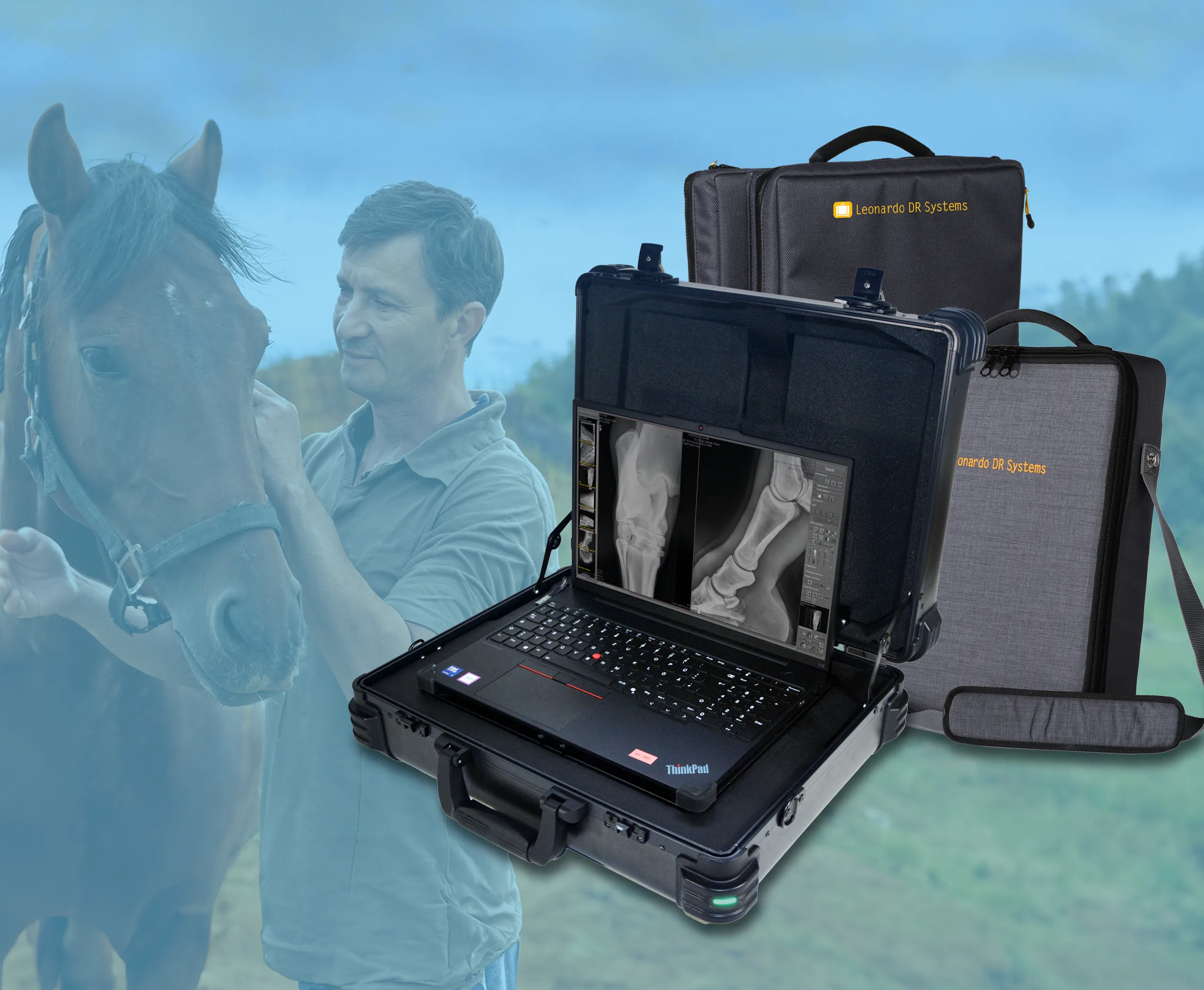 Portable, veterinary DR X-ray systems - Leonardo DR