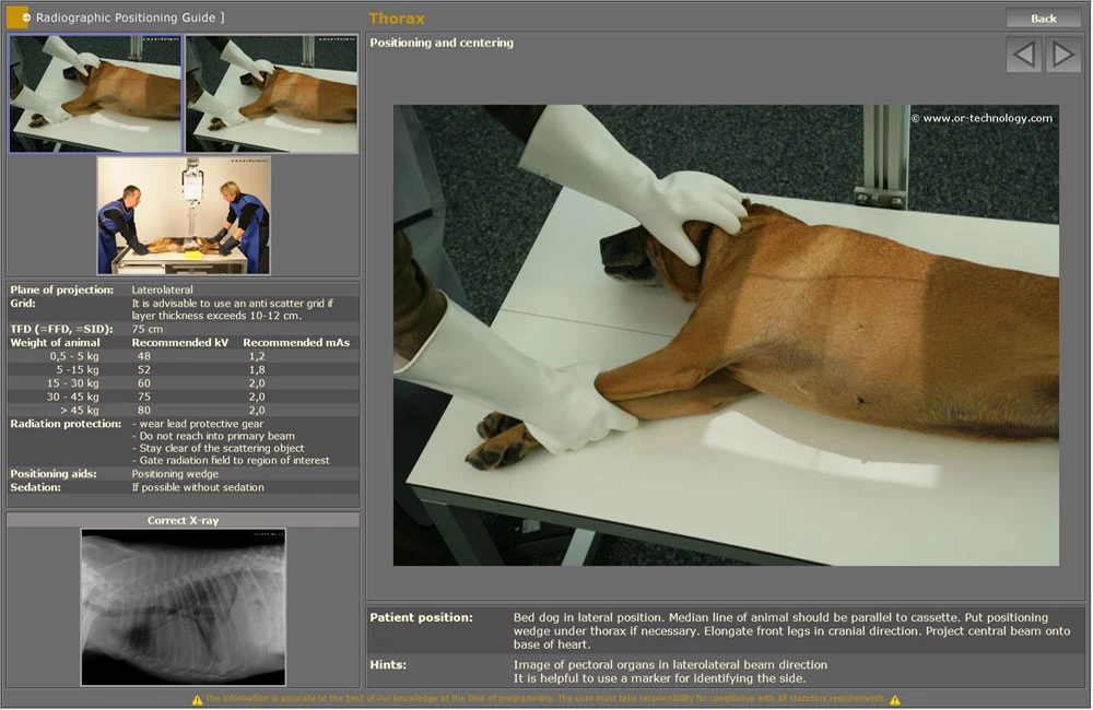 Screenshot of a digital X-ray software