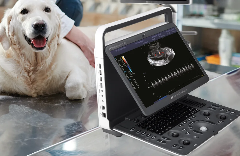 ORsono Portable V2 ultrasound device with dog examination in background