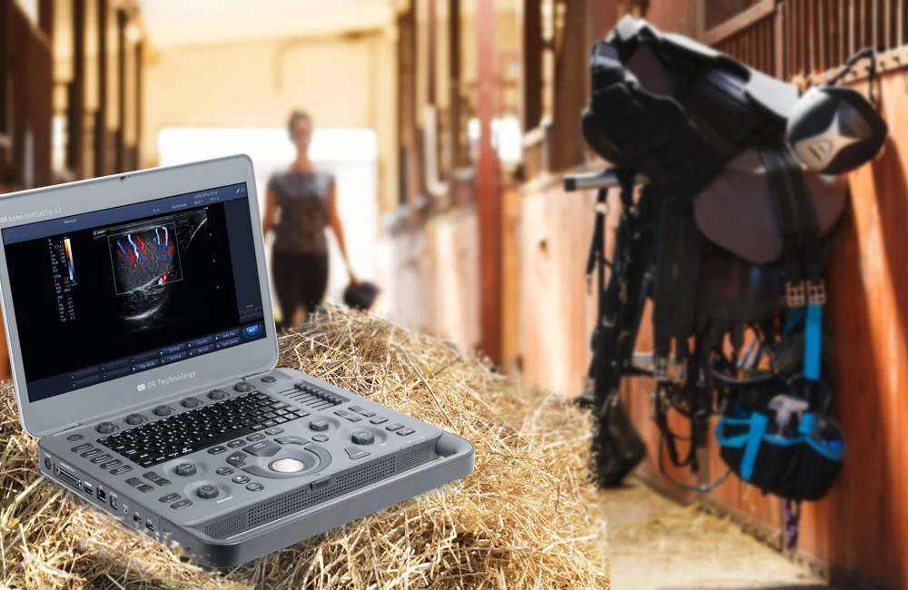 Portable ORsono V3 veterinary ultrasound in equine stable setting