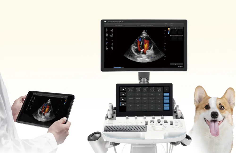 Vet examining ORsono V70 ultrasound image on tablet while dog is in background