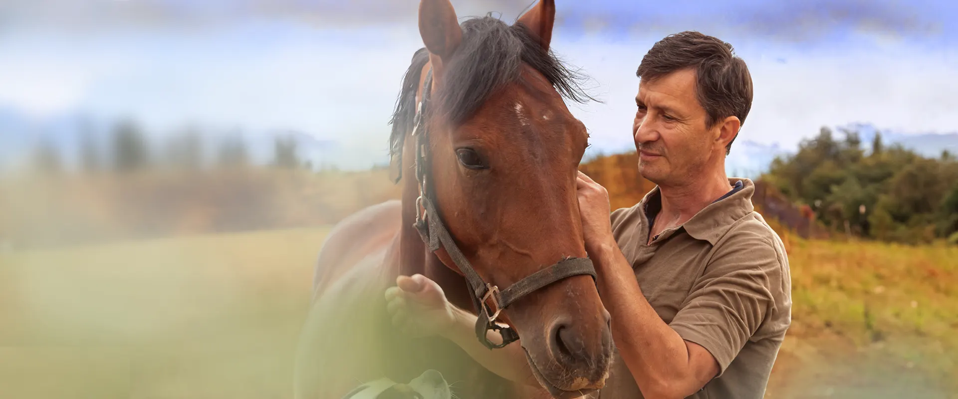 A equine veterinarian with a horse