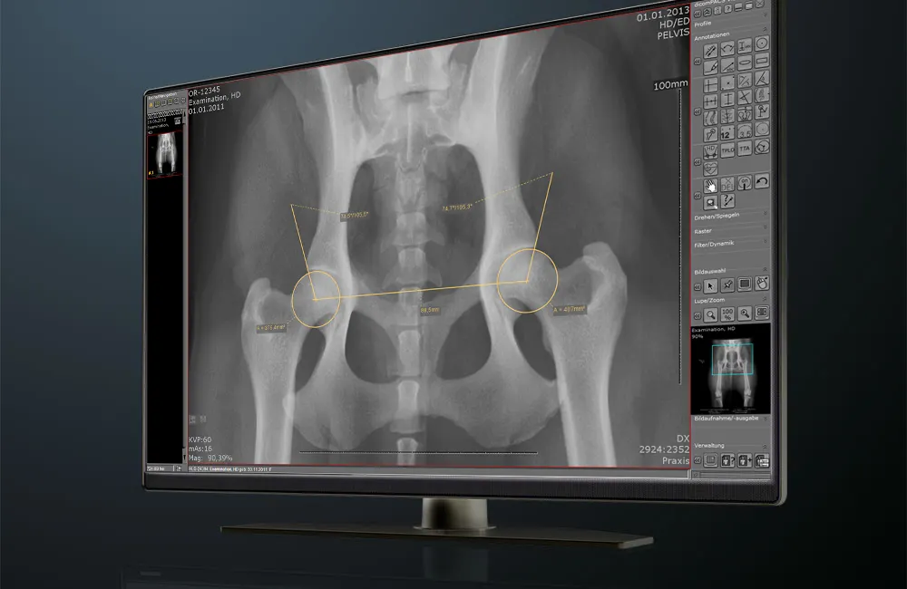 A screen with dicomPACS vet on it using AI support for diagnosis
