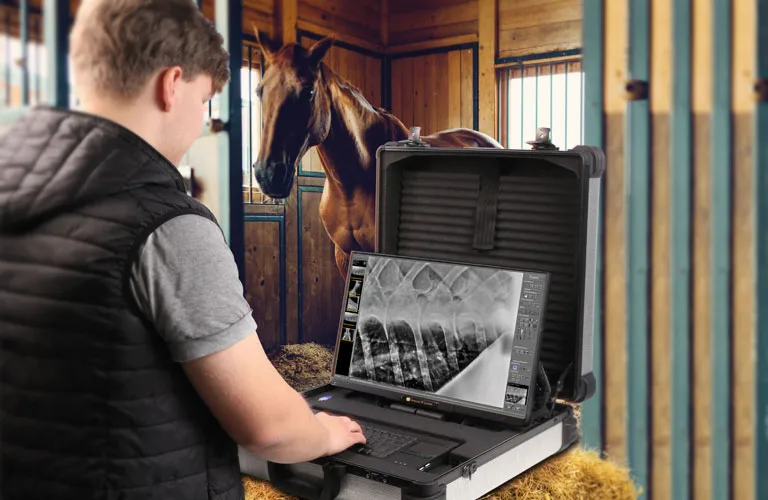 A doctor makes a X-ray of a horse inside a stable