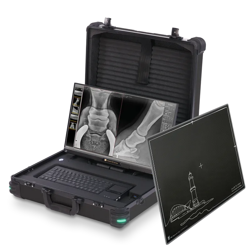 Leonardo DR mini III - sophisticated, premium portable veterinary DR system