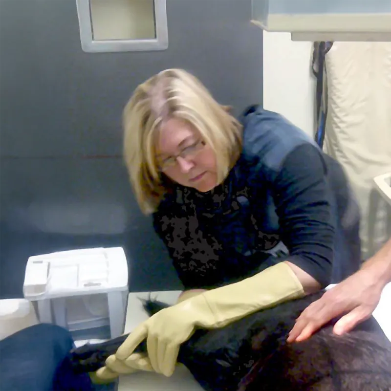Dr. Penny Richards - Central Nova Animal Hospital Ltd.