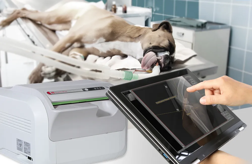 CR X-ray system for veterinary use with dog in background
