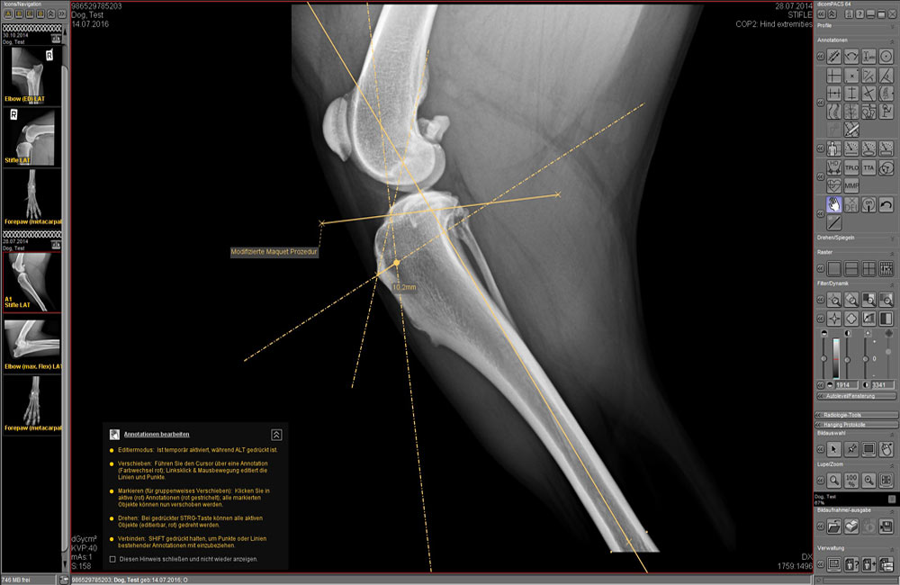 Veterinary X-ray shown on dicomPACS vet software interface
