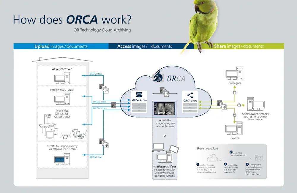 Infographic showing how ORCA Cloud veterinary data system works”