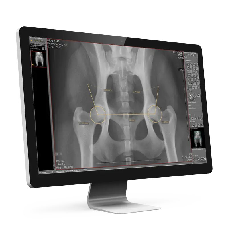 dicomPACS - multimodality imaging for veterinary medicine