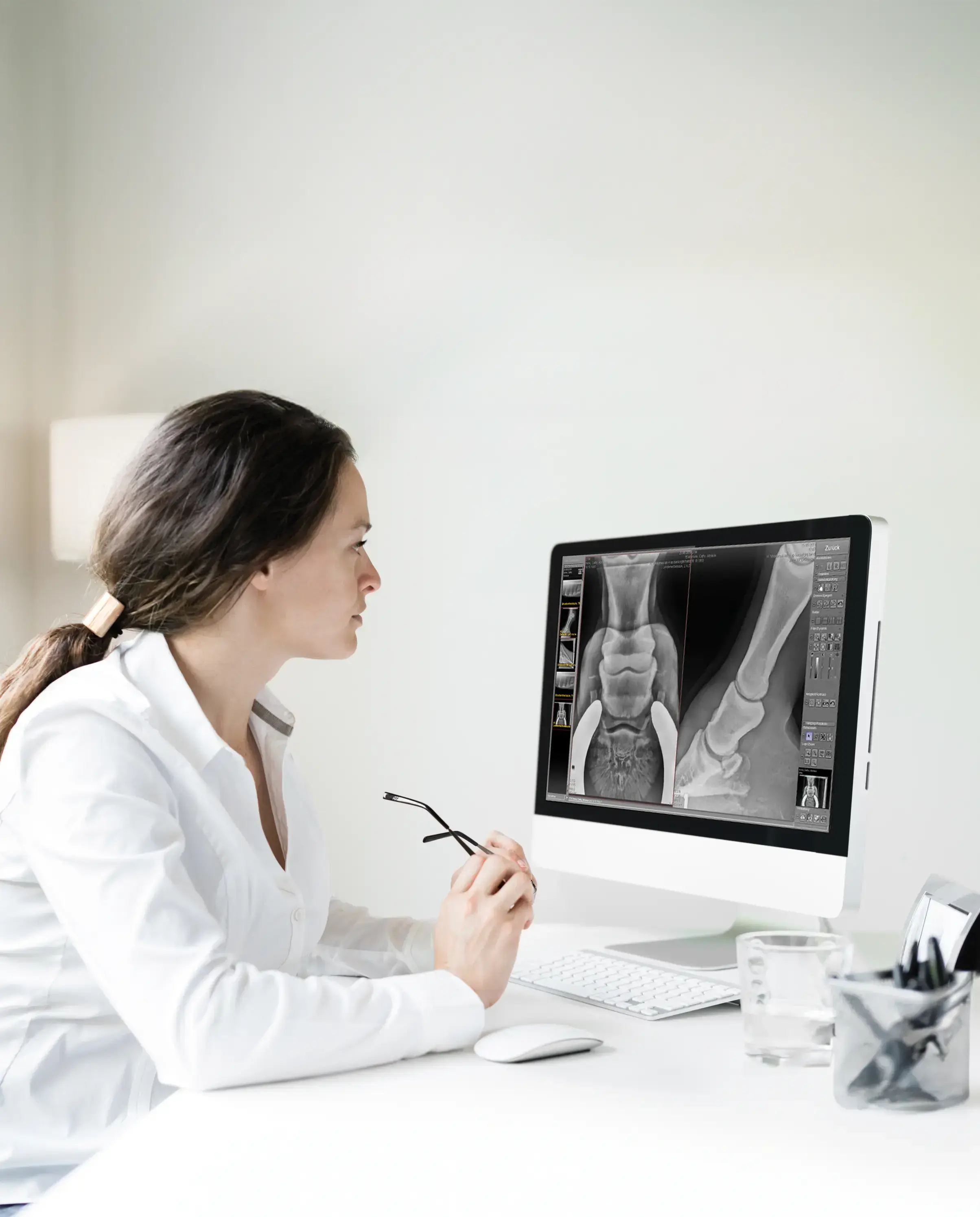 Vet examining equine hoof radiographs on computer screen using dicomPACS ve